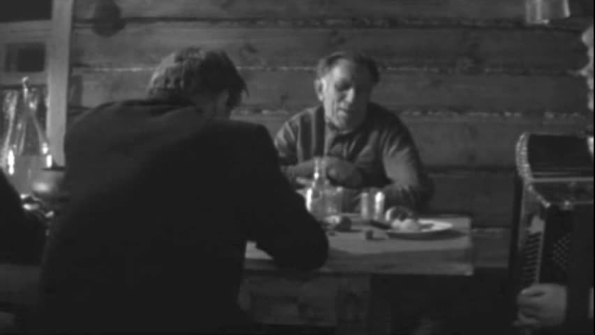 Игорь Пушкарёв и др. По бугоркам и низким косогорам